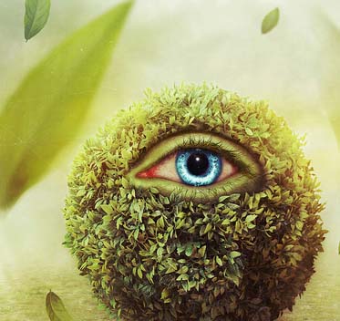 怎么去攻击一个网站与防护