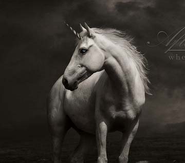 不用设置直用的网站防ddos攻击