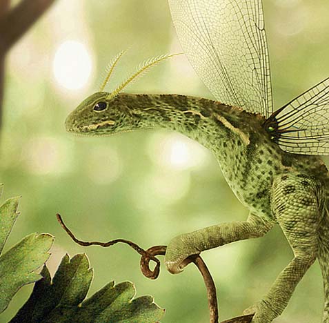 授权商城便捷的网络攻击软件