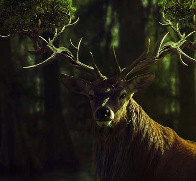 在线DDOS压力测试网页端